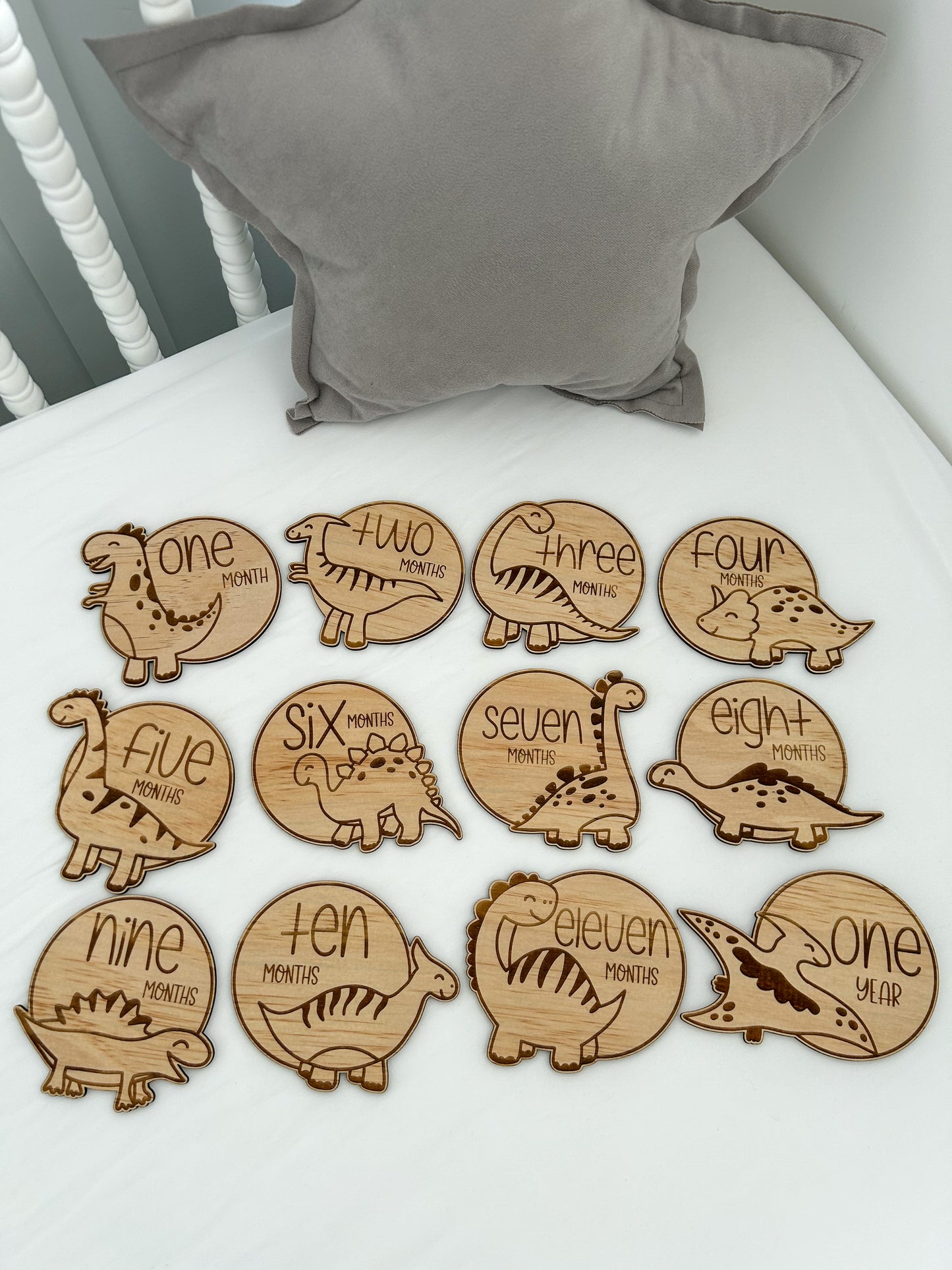 Engraved Dinosaur Milestone Disc Set