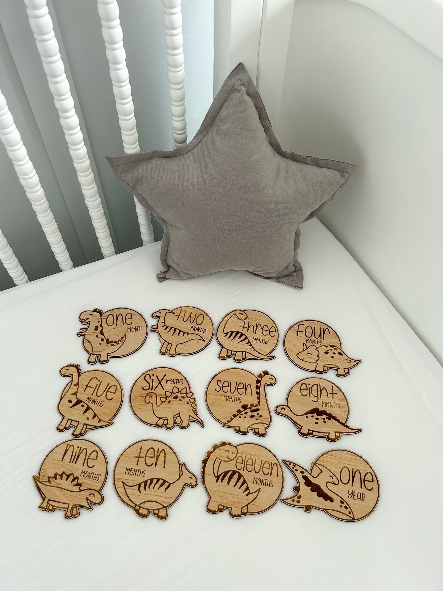 Engraved Dinosaur Milestone Disc Set