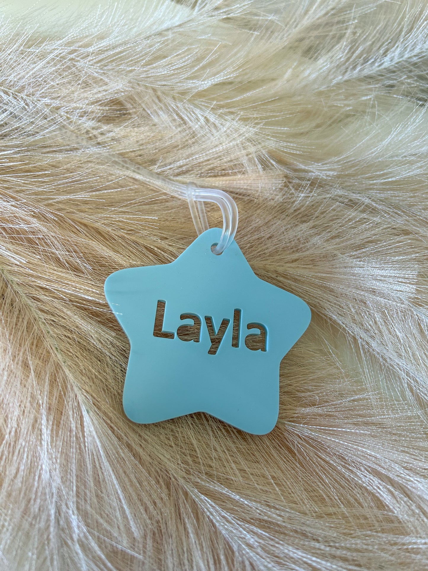 Acrylic Bag Tag